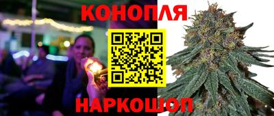 jwh Шебекино