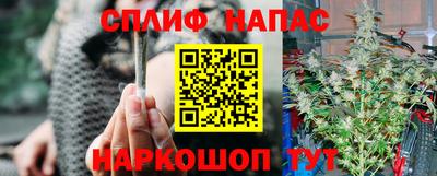 jwh Шебекино