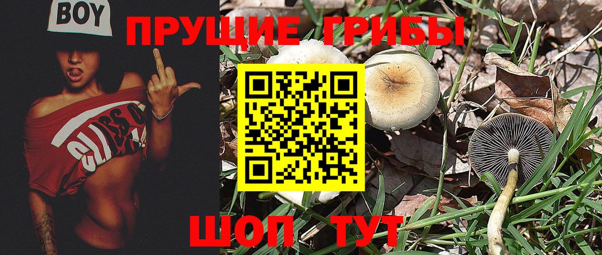 Галлюциногенные грибы мухоморы Белебей