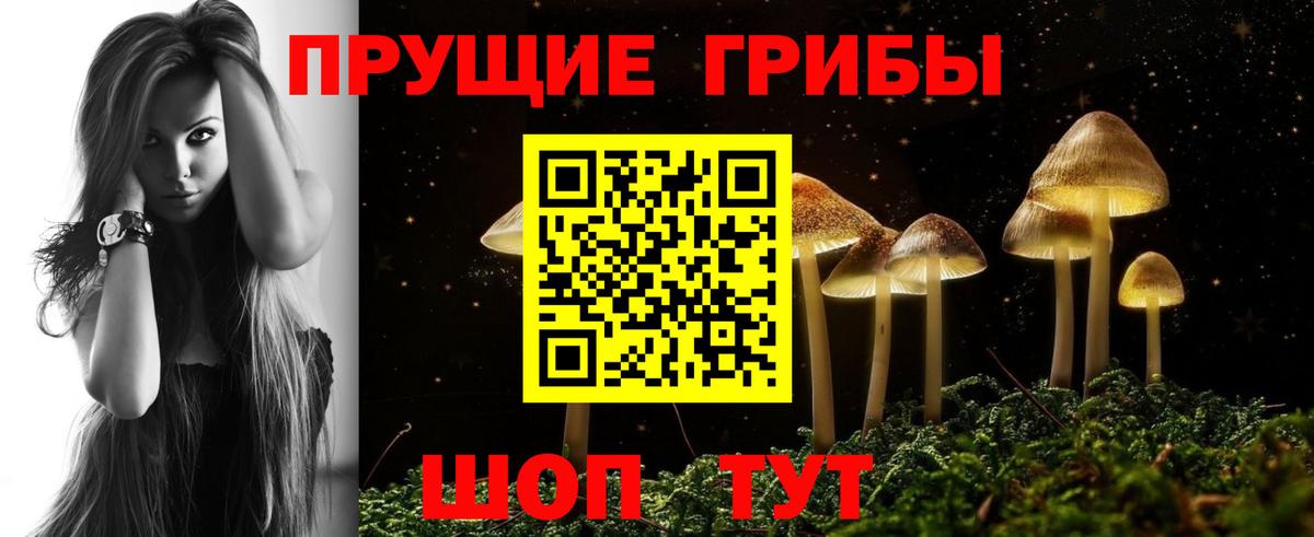 Псилоцибиновые грибы Cubensis  Вход с VPN  Белебей 